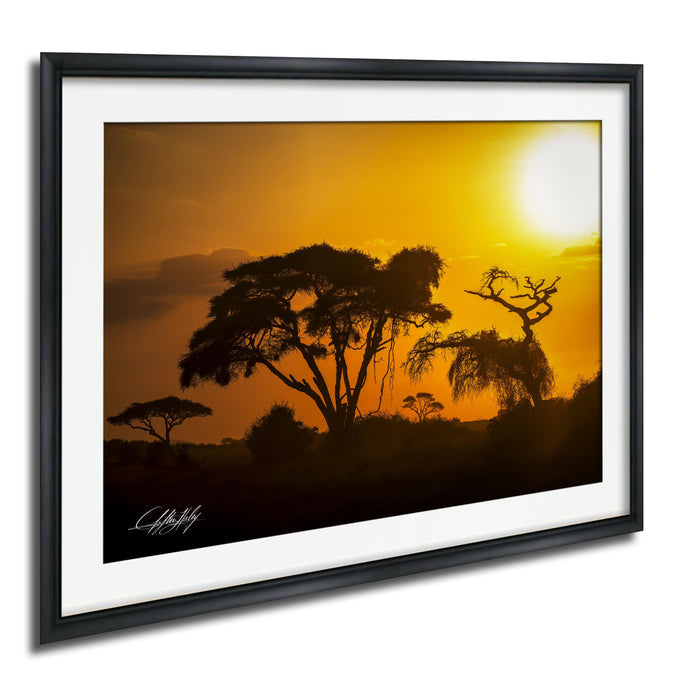 a serene sunset over a landscape, with silhouetted trees against a vibrant orange sky.