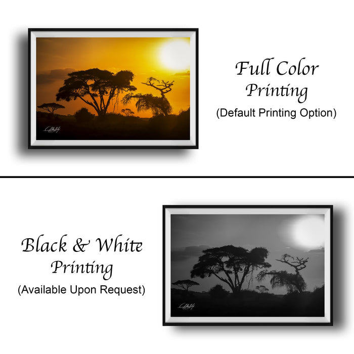 The image is a collage of two framed pictures, one in black and white and the other in full color. The black and white picture depicts a silhouette of trees against a sunset, while the full color picture shows the same scene with the sun and trees in vibrant hues. Both pictures are framed and available upon request.