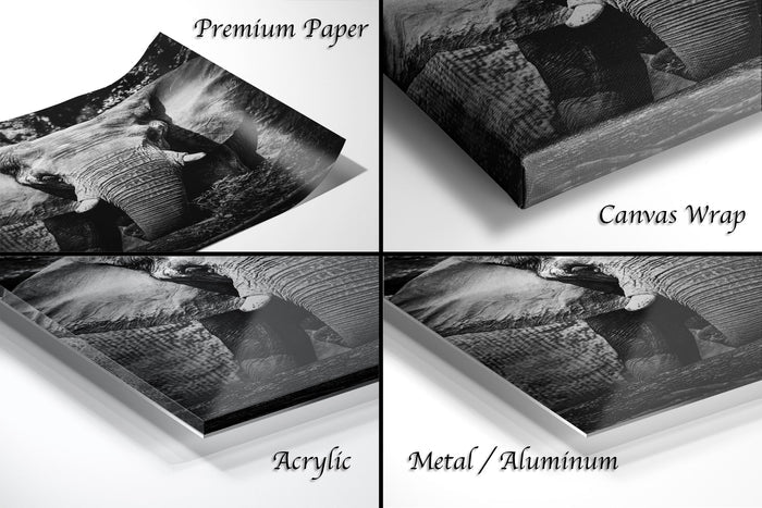 The image is a collage of four different photographs of an elephant, each with a different label indicating the type of material used to print the image.