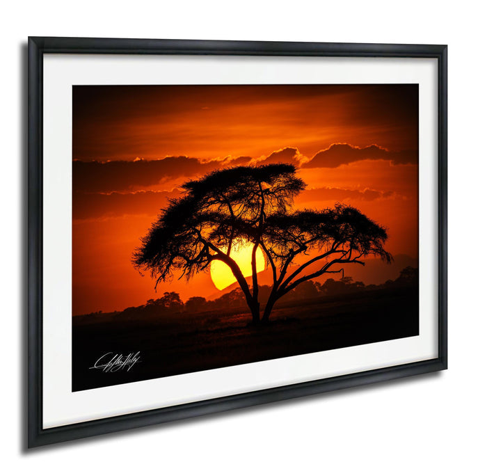 A framed photograph depicting a silhouetted tree against a vibrant orange and yellow sunset sky.