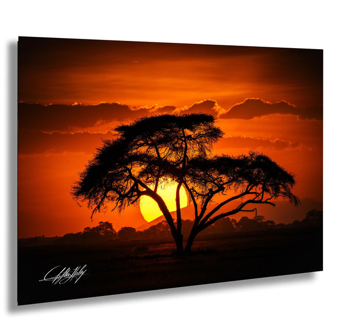 a lone tree silhouetted against a vibrant sunset sky, with the sun setting behind the tree and casting a warm, orange glow across the landscape.