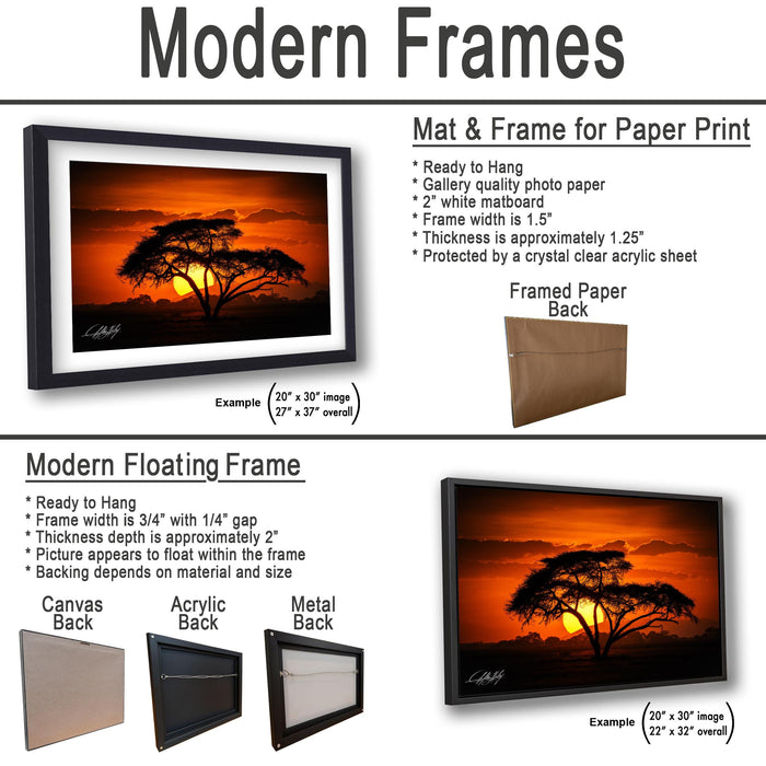 The image is a collection of framed artworks, including a mat and frame for a paper print, a modern floating frame, and a framed paper back. The artworks are displayed in various sizes and frame types, showcasing the versatility of these frames for different artistic presentations.