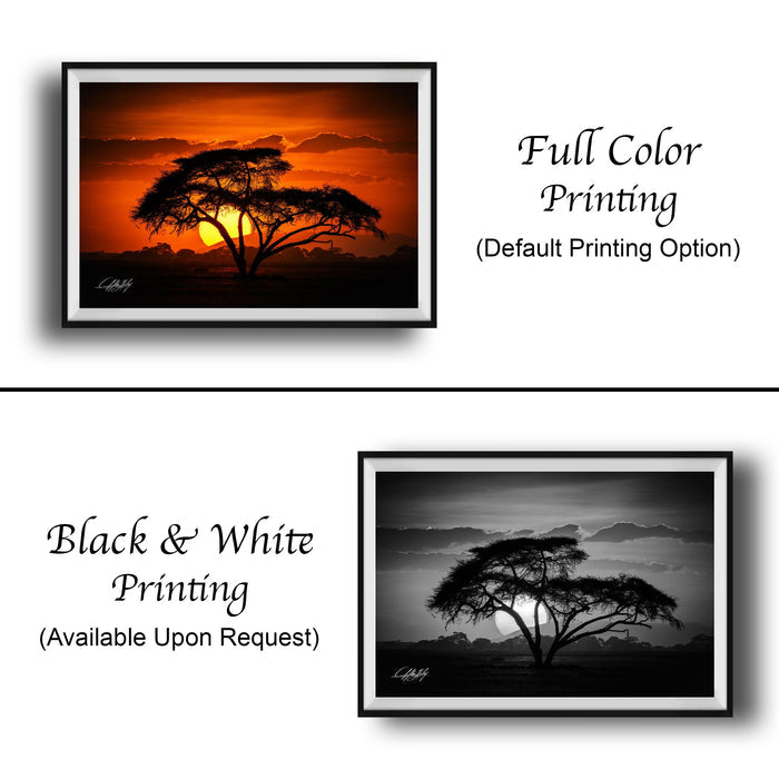 The image is a collage of two framed pictures. The top picture is a full-color print of a tree silhouetted against a sunset, while the bottom picture is a black and white print of the same tree. Both pictures are framed and displayed side by side, showcasing the contrast between the full-color and black-and-white versions of the same image.