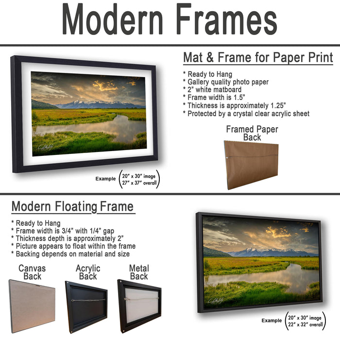a picture frame with a picture hanging on it and a picture hanging on the wall
