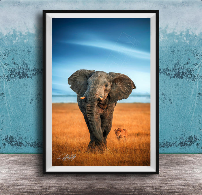 A majestic elephant stands in a golden field, its large ears flapping gently in the breeze, with a lion standing nearby.