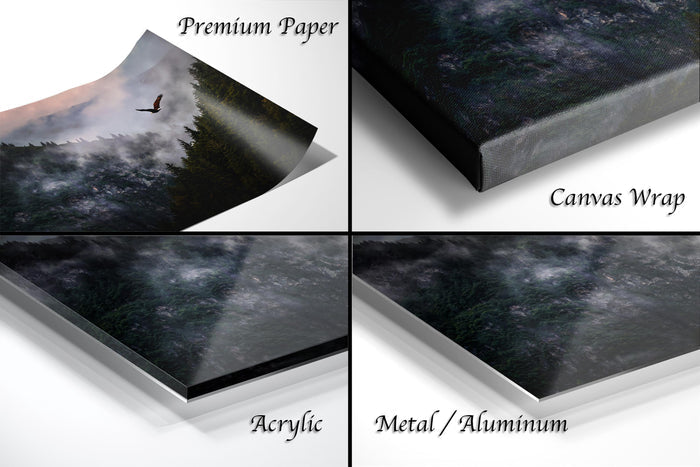 The image is a collage of four different views of a landscape, including a close-up of a forest, a bird flying over the forest, a close-up of a forest, and a close-up of a forest.