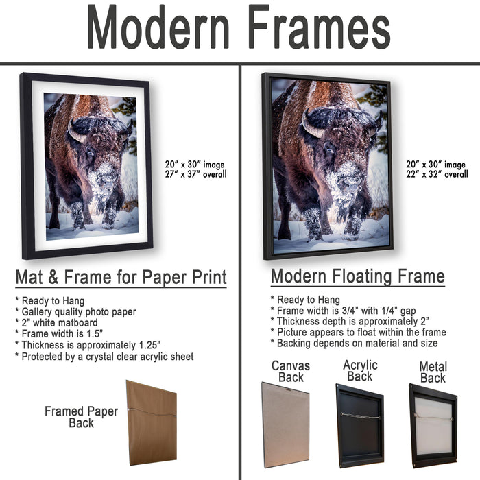The image is a comparison of modern frames for different types of prints, including a mat and a frame for a paper print and a modern floating frame for a picture.