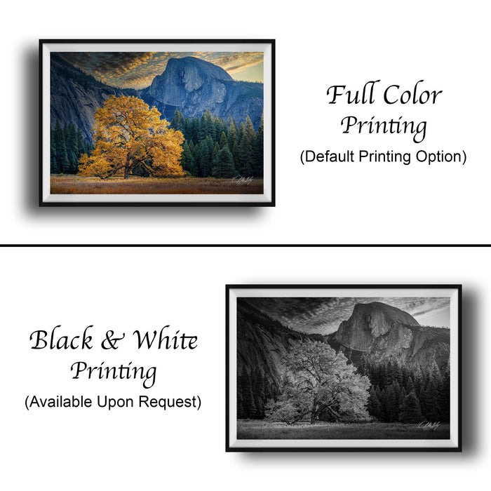 The image is a collage of two framed photographs. The top photograph is a full color print of a mountain landscape with a tree in the foreground, while the bottom photograph is a black and white print of the same mountain landscape.
