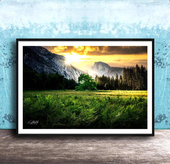The image is a framed landscape photograph depicting a serene mountain scene with a lush green field, a tree, and a majestic mountain range in the background.