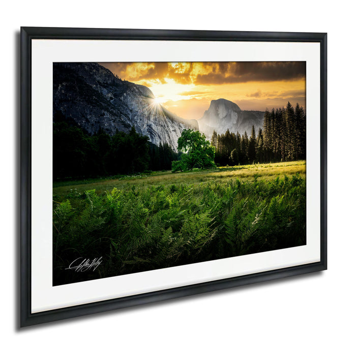 a serene landscape with a mountain range in the background, a lush green field in the foreground, and a tree in the middle ground. The sun is setting behind the mountains, casting a warm glow over the scene.