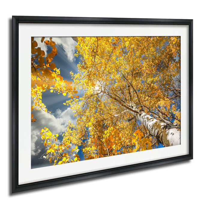 A framed photograph depicting a tree with vibrant yellow leaves against a blue sky with clouds.