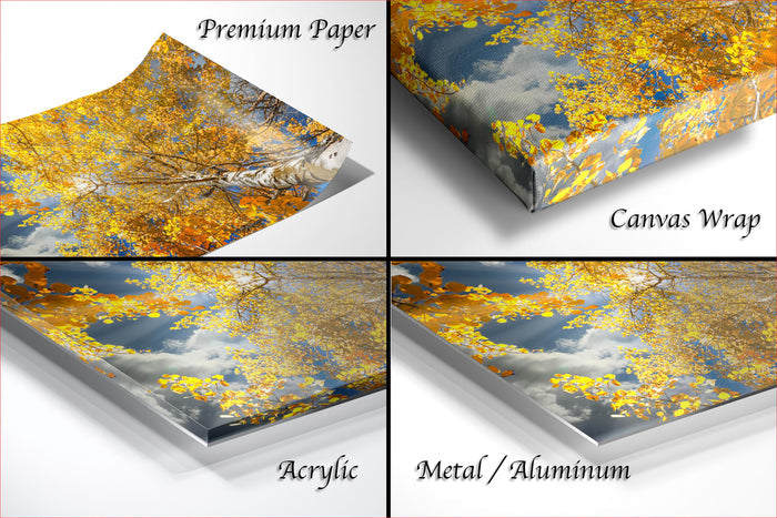 The image is a collage of four different images, each depicting a tree with yellow leaves against a blue sky background. The images are labeled as "Premium Paper", "Canvas Wrap", "Acrylic", and "Metal/Aluminum".