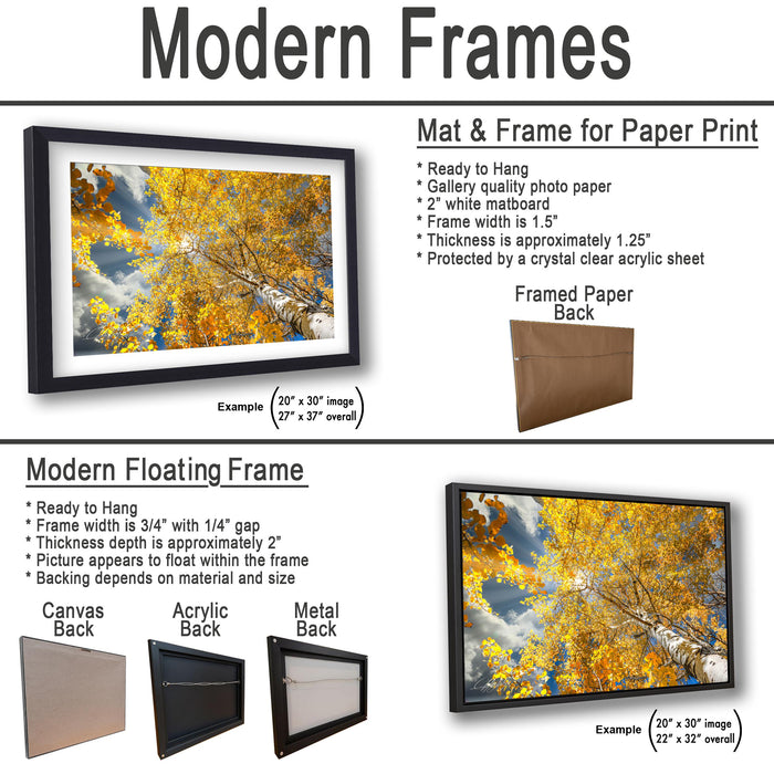 The image is a collage of three framed pictures, each with a different frame and backing material. The first frame is a mat and frame for a paper print, the second frame is a modern floating frame, and the third frame is a mat and frame for a paper print.