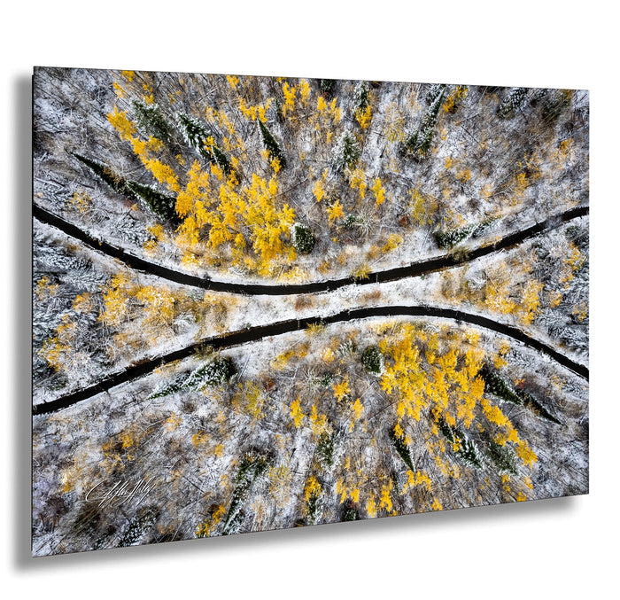The image is an aerial view of a snowy forest with yellow trees, showcasing the contrast between the white snow and the vibrant yellow foliage.