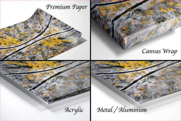 four different views of a piece of artwork, including a close-up of the artwork, a canvas wrap, an acrylic print, and a metal/aluminum print.
