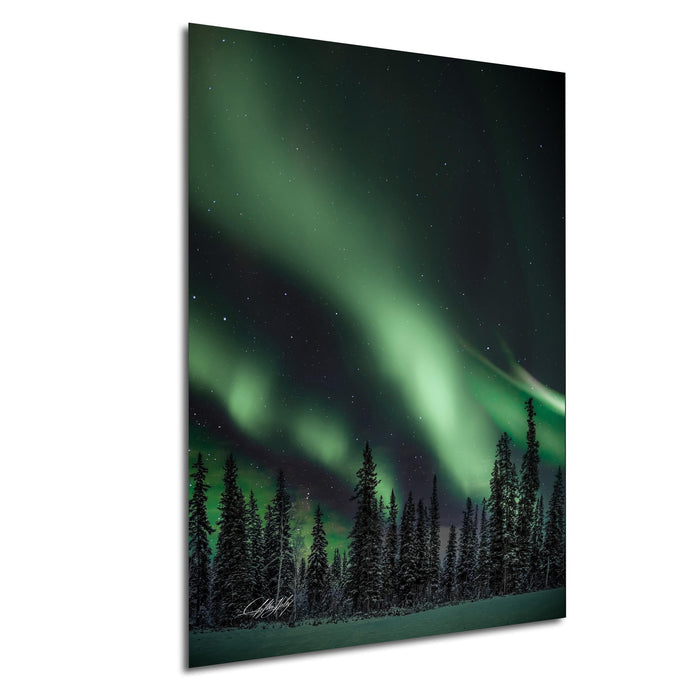 a stunning night sky filled with the vibrant green glow of the Aurora Borealis, or Northern Lights, illuminating a snowy forest landscape below.
