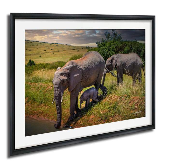 A family of elephants, including a large adult and a smaller calf, are walking along a grassy path near a body of water in a natural setting.