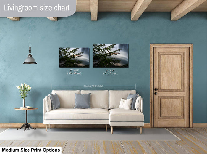 a living room with a white sofa, a wooden door, and a hanging light fixture. There are two framed landscape photographs hanging on the wall, one depicting a tree and the other showing a sky with clouds. The wall is painted in a light blue color, and the floor is covered with a gray rug.