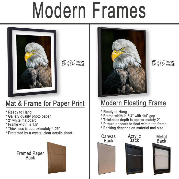 The image is a comparison of modern frames for different types of artwork, including a close-up of a bald eagle and a close-up of a canvas print.