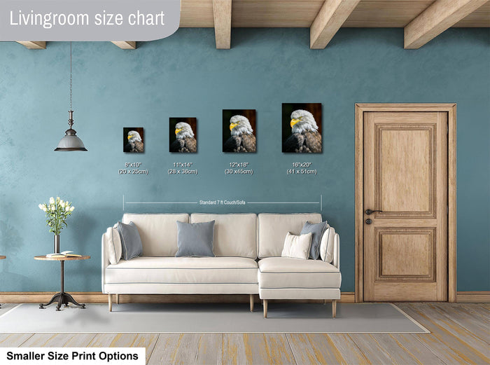 The image is a livingroom size chart that shows the dimensions of four framed eagle head photographs, each corresponding to a different size.