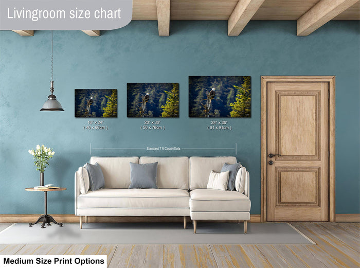 a living room with a white sofa and a wooden door. Above the sofa, there is a livingroom size chart displaying three framed landscape photographs of different sizes.