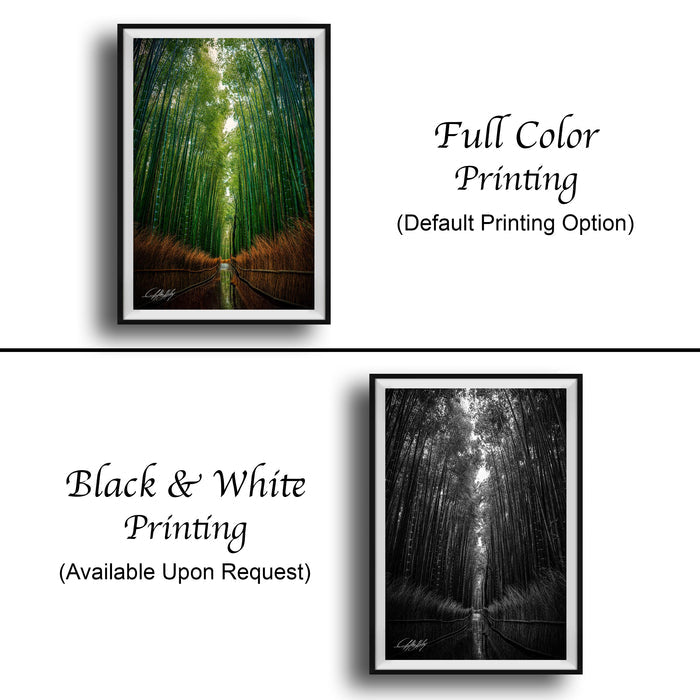 The image is a collage of two framed pictures. The top picture is a full color print of a bamboo forest, while the bottom picture is a black and white print of the same forest. Both pictures are framed and available upon request.
