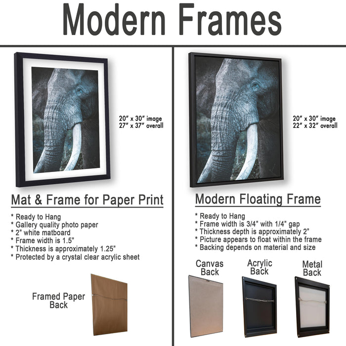 The image is a comparison of modern frames for different types of artwork, including a mat and a frame for a paper print and a modern floating frame for a picture of an elephant.