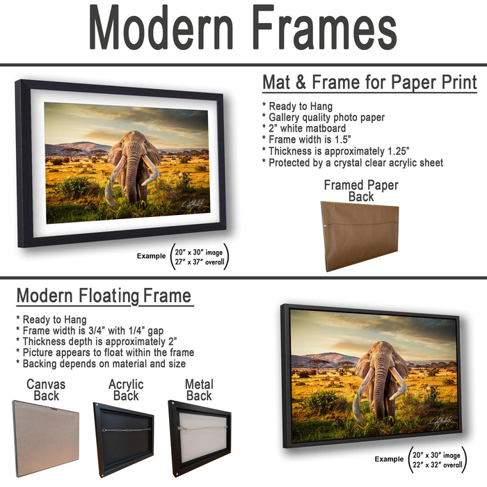 a picture of an elephant in a frame with instructions