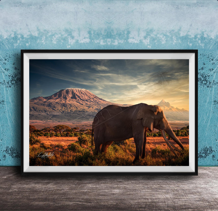 A framed photograph of an elephant standing in a grassy field with a mountain in the background, under a cloudy sky.