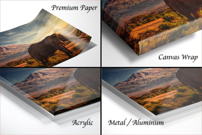 The image is a collage of four different images, each depicting a landscape scene with a large elephant in the foreground. The images are labeled as "Premium Paper", "Canvas Wrap", "Acrylic", and "Metal/Aluminum".