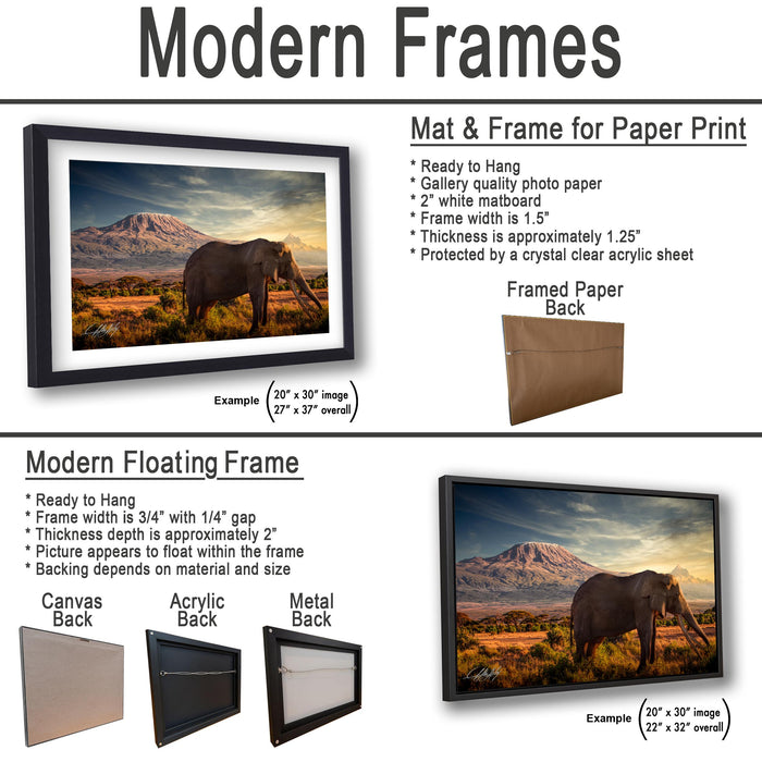 a picture of an elephant and a picture of a mountain