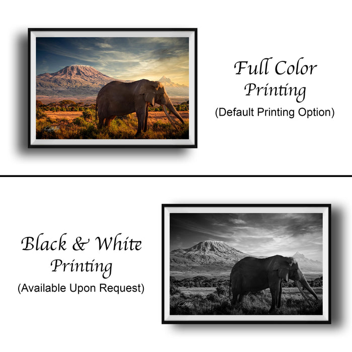 The image is a collage of two framed pictures. The top picture is a full color print of an elephant in a field, while the bottom picture is a black and white print of the same elephant. The text below the images indicates that the full color printing is available upon request.