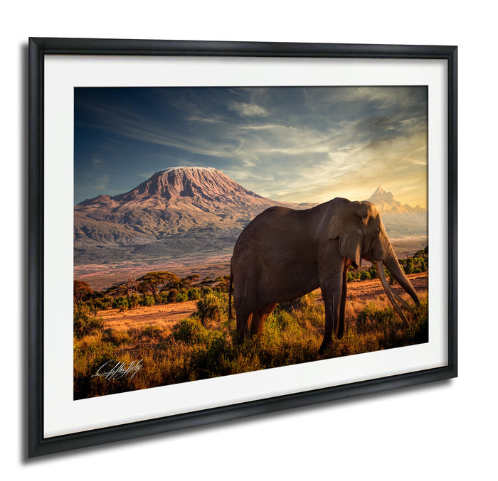 A large elephant stands in a grassy field, with a majestic mountain range in the background under a dramatic sky.