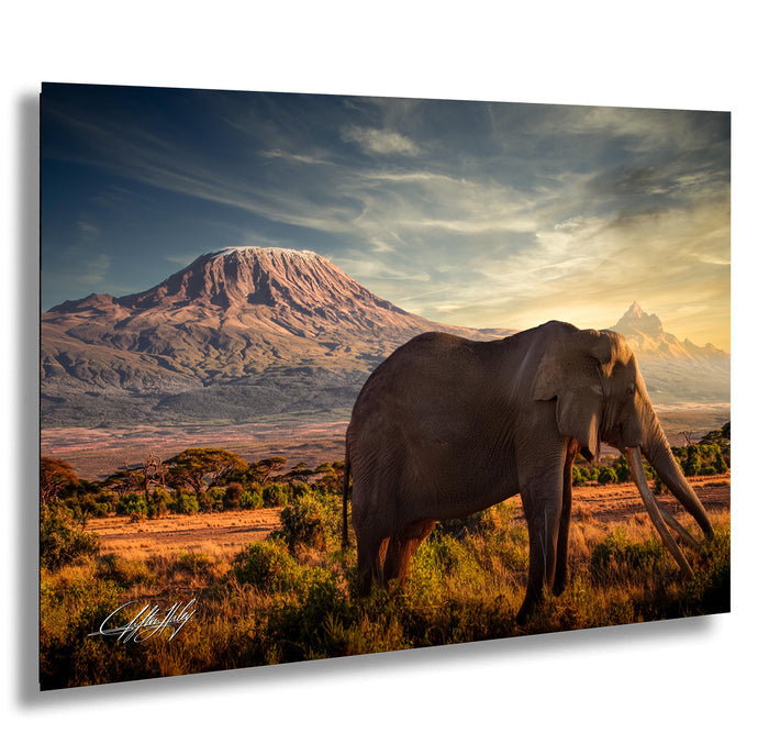 A majestic elephant stands in a grassy field, with a large mountain range in the background under a dramatic sky.