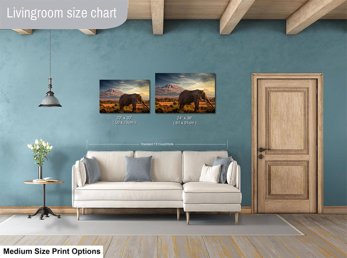 a living room with a white sofa and a wooden door. Above the sofa, there is a size chart for a medium-sized print of an elephant in a field.