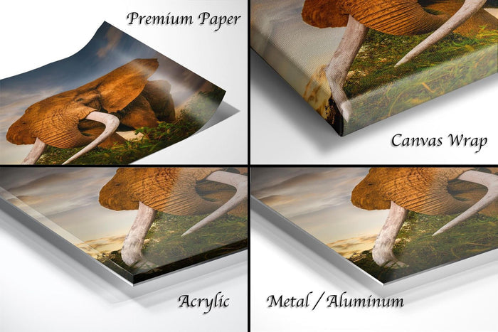 The image is a collage of four different views of an elephant, each with a different material or finish, including acrylic, metal, and canvas wrap.