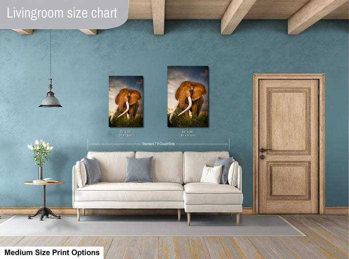 a living room with a white sofa, a wooden door, and a painting of an elephant on the wall. The painting is of a standard size of 24x36 inches.
