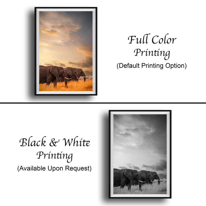 The image is a collage of two framed pictures. The top picture is a full color print of two elephants in a field, while the bottom picture is a black and white print of the same two elephants. The text below the images indicates that the full color print is available upon request, and the black and white print is not.