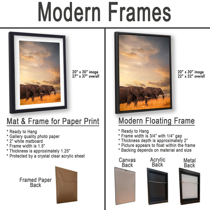 The image is a comparison of modern frames for different types of artwork, including a mat and frame for a paper print and a modern floating frame for a canvas print.