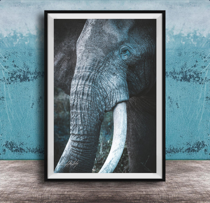 A framed photograph of a majestic elephant, its large white tusks and wrinkled gray skin prominently displayed against a blue and white textured background.