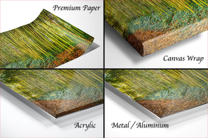 The image is a collage of four different types of printed materials, including a premium paper, a canvas wrap, an acrylic print, and a metal/aluminum print.