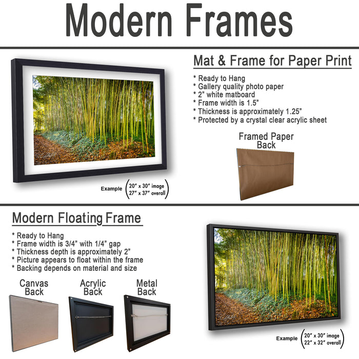 The image is a collage of three framed artworks, each with a different frame and backing material. The first frame is a mat and frame for a paper print, the second frame is a modern floating frame, and the third frame is a mat and frame for a printed back.