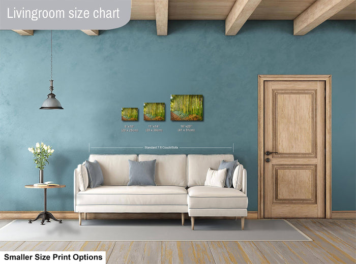 a living room with a white sofa, a wooden door, and a hanging light fixture. There are three framed artworks displayed on the wall, each with different sizes and dimensions. The living room appears to be designed for a smaller space, as indicated by the "Smaller Size Print Options" text at the bottom of the image.