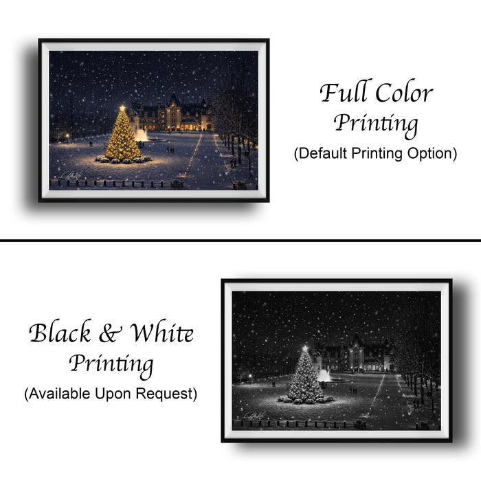 The image is a collage of two pictures, one in black and white and the other in full color. The black and white image depicts a snowy night scene with a lit Christmas tree, while the full color image shows a similar scene with a lit Christmas tree and a building in the background. Both images are labeled as "Full Color Printing" and "Black & White Printing" and are available upon request.