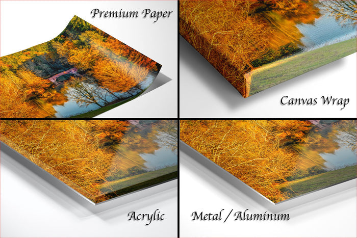 The image is a collage of four different images, each depicting a landscape with trees and a body of water. The images are labeled as "Premium Paper", "Canvas Wrap", "Acrylic", and "Metal/Aluminum".