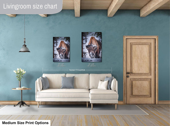 a living room with a white sofa, a wooden door, and two framed pictures of a cow on the wall.