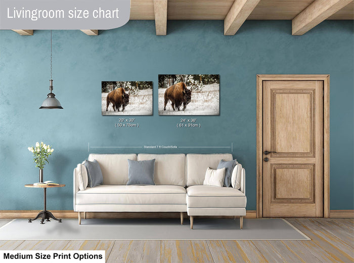 a living room with a white sofa, a wooden door, and a painting of a bison on the wall. The living room has a blue wall and a wooden ceiling.