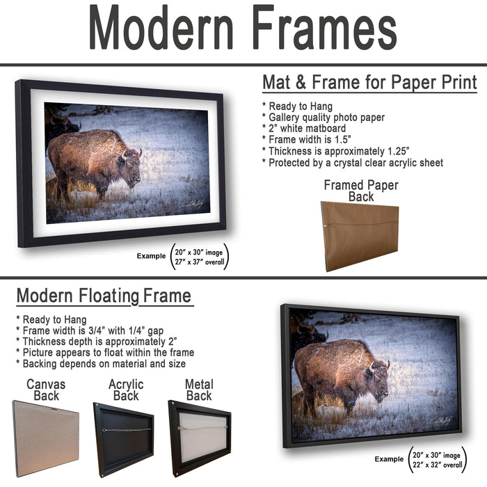 The image is a product advertisement for modern frames, showcasing different frame options for paper print and floating frame backings.