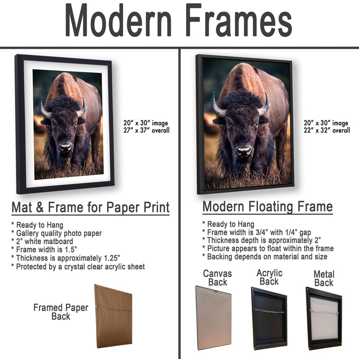 The image is a comparison of modern frames for different types of paper prints, including mat & frame for paper print and modern floating frame for canvas back.