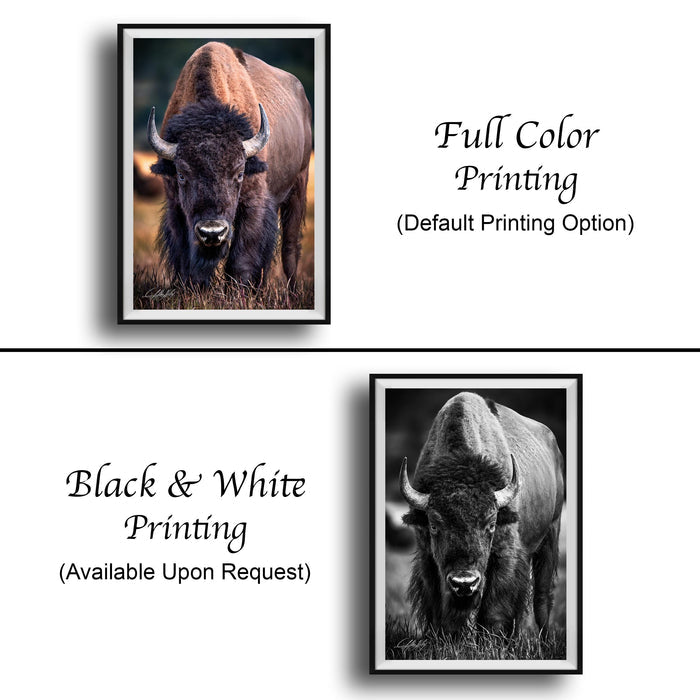 The image is a collage of two framed pictures, one in black and white and the other in full color. The black and white picture shows a buffalo, while the full color picture depicts a buffalo in a natural setting. The text below the images indicates that the black and white picture is available upon request, and the full color picture is the default printing option.